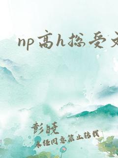 np高h总受文