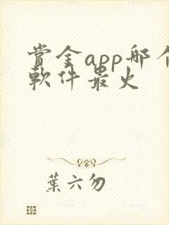 赏金app哪个软件最火