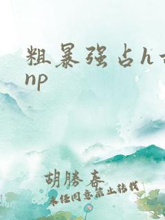 粗暴强占h古言np
