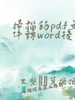 扫描的pdf文件转word后怎么排版
