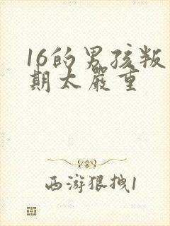 16的男孩叛逆期太严重