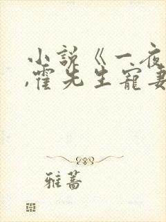 小说《一夜情深,霍先生宠妻无度》