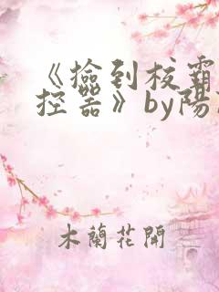 《捡到校霸的遥控器》by阳阳