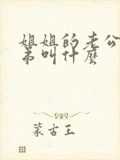 姐姐的老公的弟弟叫什么