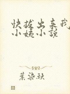 快拔出来我是你小姨小说