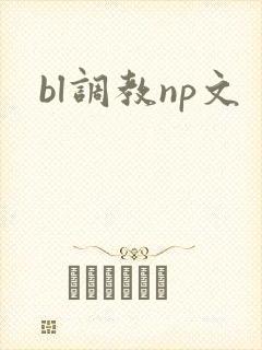 bl调教np文