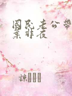 国民老公带回家叶非夜