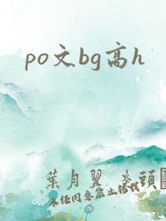po文bg高h