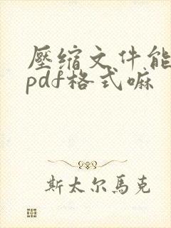 压缩文件能转换pdf格式嘛