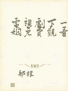 电视剧下一站婚姻免费观看完整版