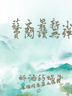 苏文最新小说免费阅读无弹窗