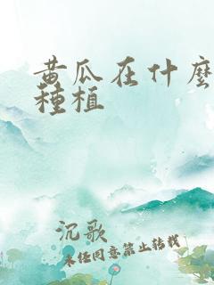 黄瓜在什么季节种植