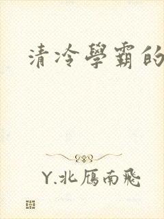 清冷学霸的沦陷