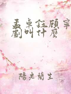 孟卓钰顾宁辰短剧叫什么