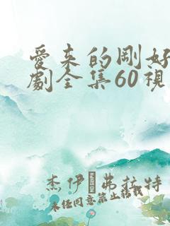 爱来的刚好电视剧全集60视剧全集