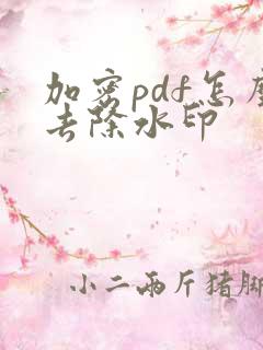 加密pdf怎么去除水印
