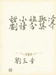 甜小姐与冷先生剧情分集介绍