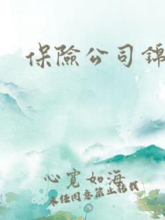 保险公司锦旗