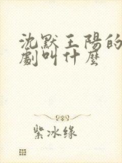 沈默王阳的电视剧叫什么