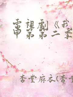 电视剧《我叫赵甲第第二季》完整版免费