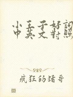 小王子好词好句中英文对照