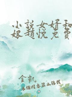 小说女婿和丈母娘赵悦免费阅读