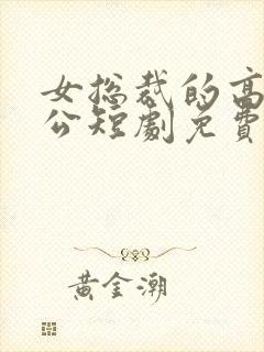 女总裁的高手老公短剧免费观看全集