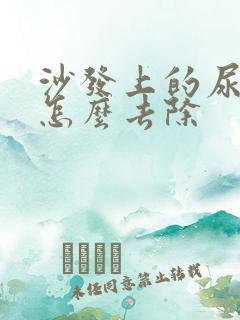 沙发上的尿骚味怎么去除
