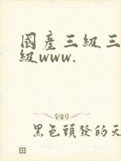 国产三级三级三级www.