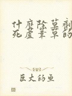 什么除草剂能杀死芦苇草的根