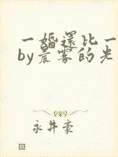 一婚还比一婚高by晨雾的光小说免费阅读