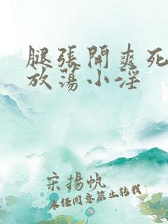 腿张开爽死你个放荡小淫