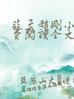 苏柔赵刚小说免费阅读全文