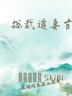 总裁追妻有点忙