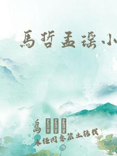 马哲孟瑶小说