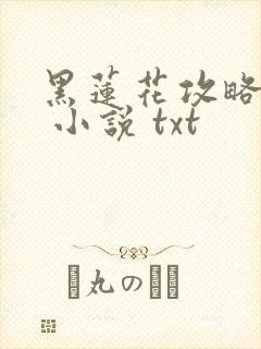 黑莲花攻略手册 小说 txt