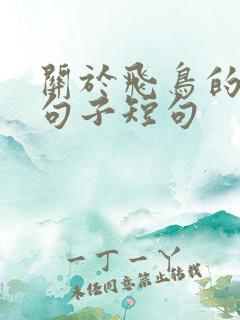 关于飞鸟的唯美句子短句