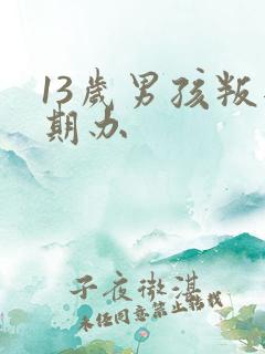 13岁男孩叛逆期办