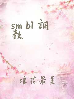 sm bl 调教