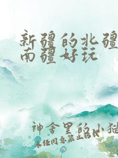 新疆的北疆还是南疆好玩