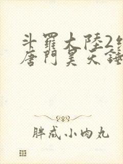 斗罗大陆2绝世唐门昊天锤出场