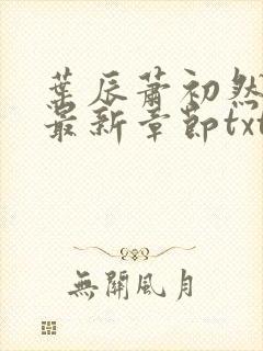 叶辰萧初然免费最新章节txt