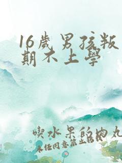 16岁男孩叛逆期不上学