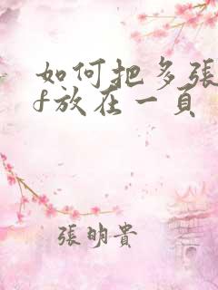 如何把多张pdf放在一页