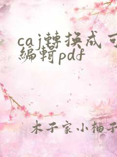 caj转换成可编辑pdf