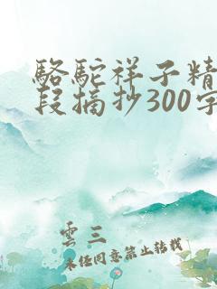 骆驼祥子精彩片段摘抄300字
