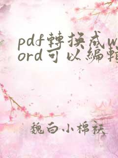 pdf转换成word可以编辑文字