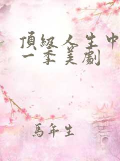 顶级人生中字第一季美剧