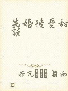 先婚后爱甜宠小说