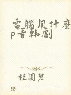 电脑用什么app看韩剧